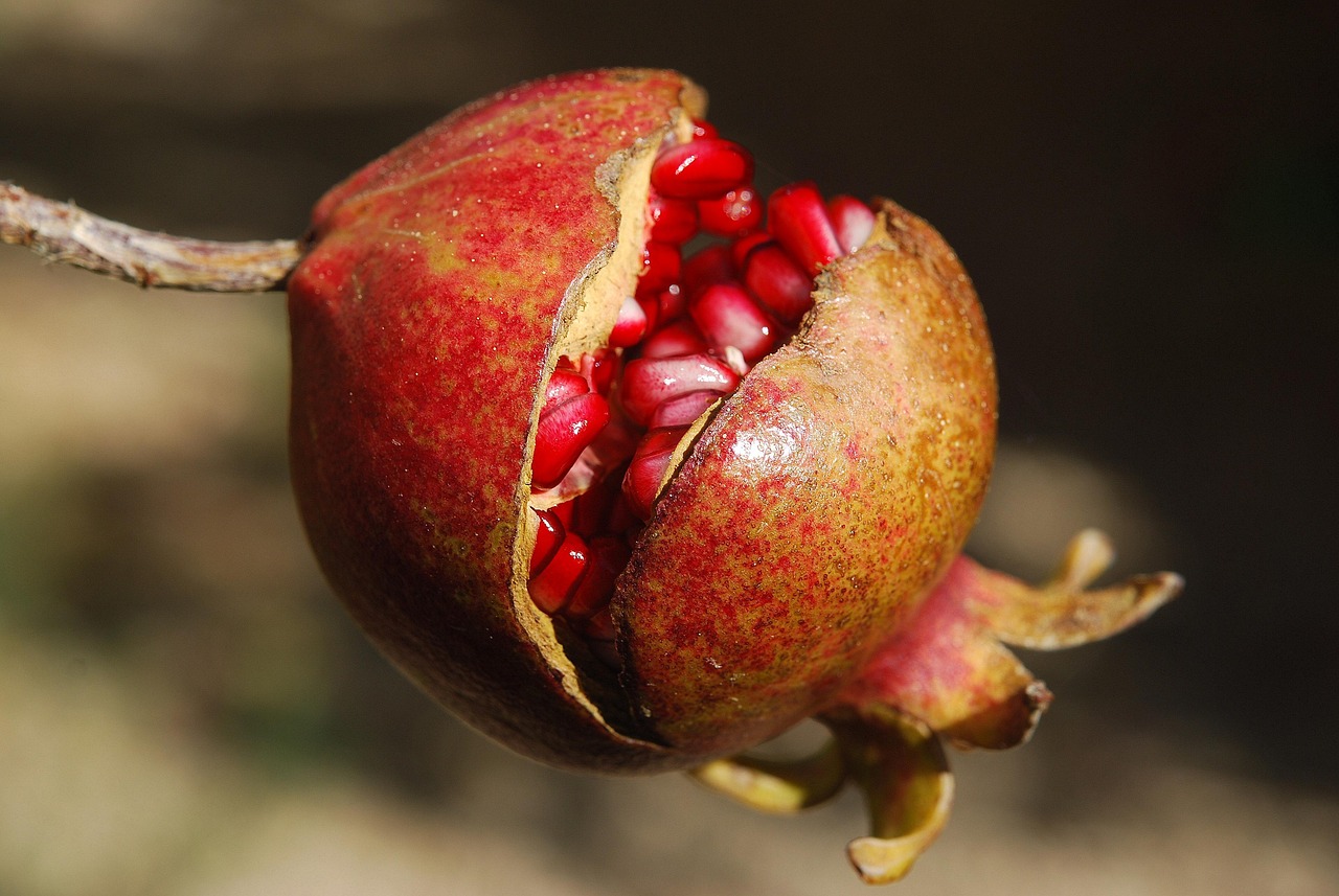 Welche Superfoods sind ihr Geld wirklich wert?